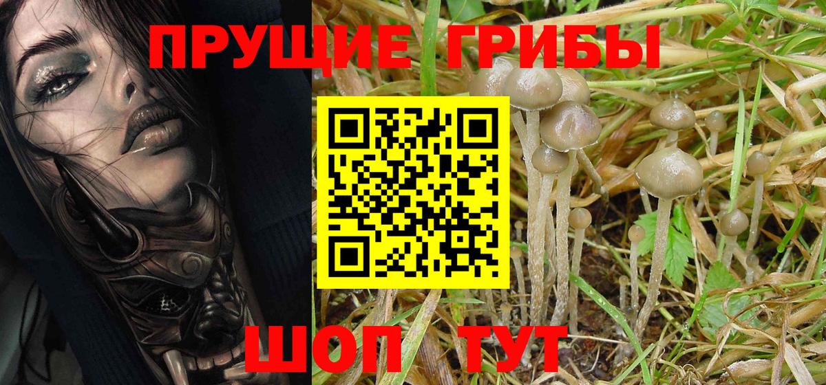 Галлюциногенные грибы GOLDEN TEACHER  Вход с VPN  Фурманов 