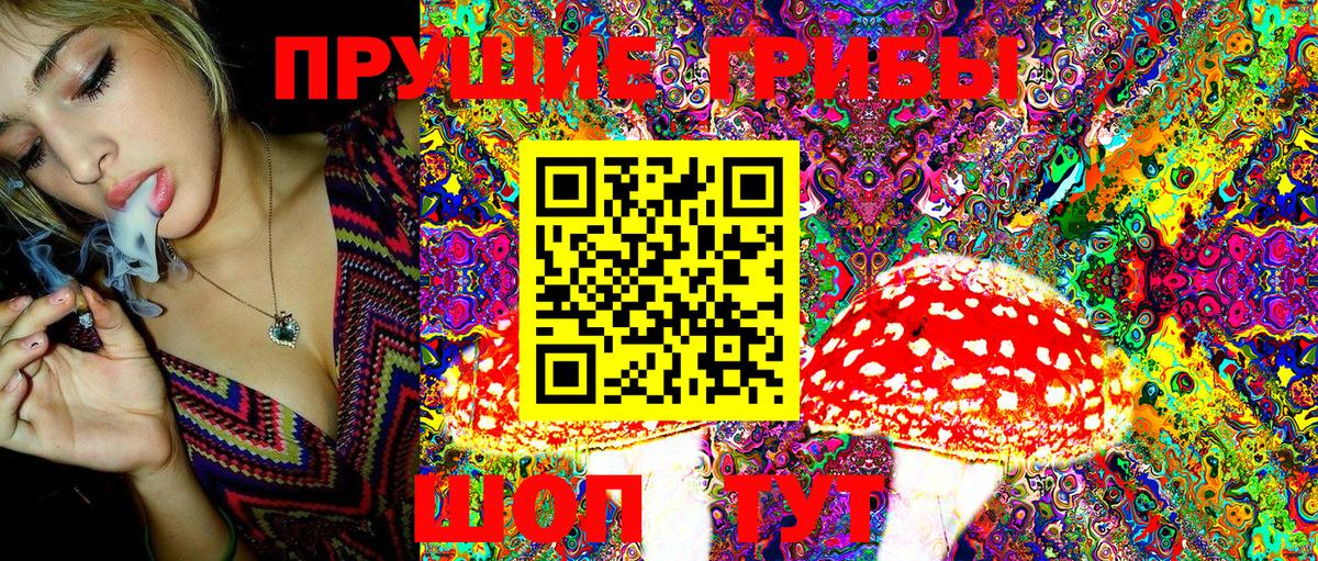 Псилоцибиновые грибы Psilocybe Фурманов